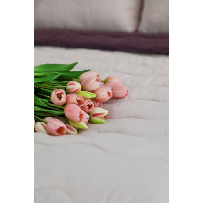Ковдра ArCloud Double Face 140*205 (Plum Wine)